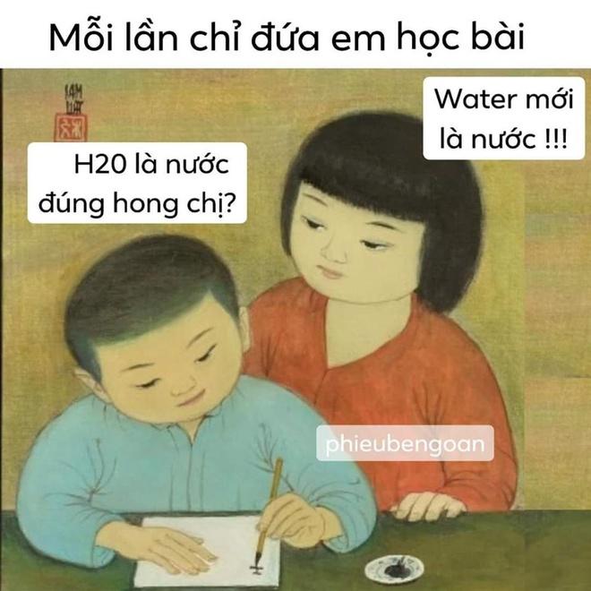 Nguồn gốc ảnh chế giận tím người và loạt meme thiếu nữ mặc áo dài-10