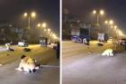 Nam thanh niên tông thẳng xe máy vào thượng úy CSGT Hà Nội