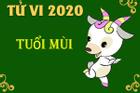 Tử vi tuổi Mùi năm 2020: Kinh doanh ắt giàu nhưng liên tục bị tiểu nhân quấy phá