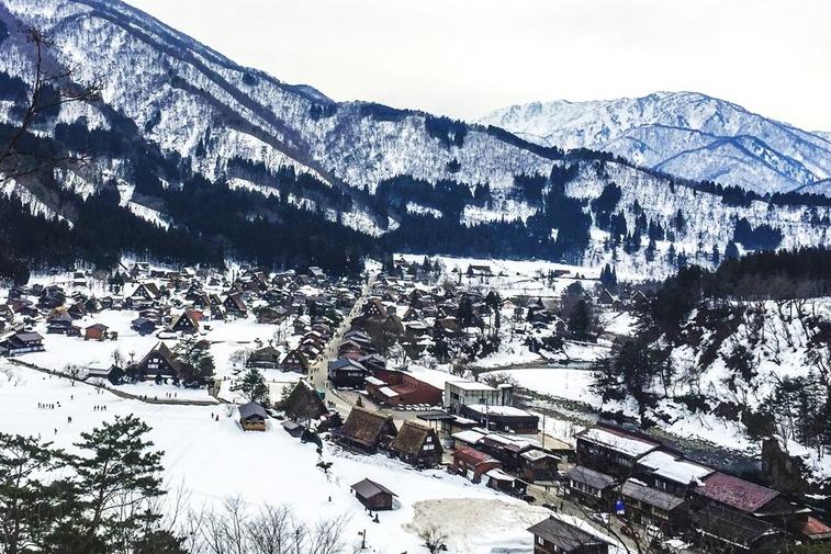 Hàng rào nghìn chiếc áo ngực ủng hộ người ung thư vú-1