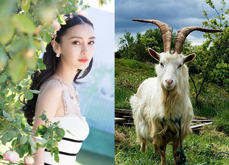 7 ngày tới chắc chắn sẽ là những ngày vinh hoa phú quý của những con giáp có tên dưới đây-2