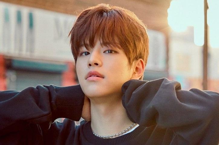 Stray Kids Seungmin tạm ngừng hoạt động vì bị cúm. Công ty quản lý JYP cho biết nam thần tượng sẽ điều trị dứt điểm bệnh trước khi quay trở lại quảng bá cùng nhóm.