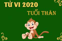 Tử vi tuổi Thân năm 2020: 1 năm sự nghiệp thăng trầm, nổi bật nhất là đường tình duyên