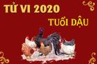 Tử vi tuổi Dậu năm 2020: Sự nghiệp thăng trầm, rủi ro rình rập, cẩn thận 'tiền mất tật mang'