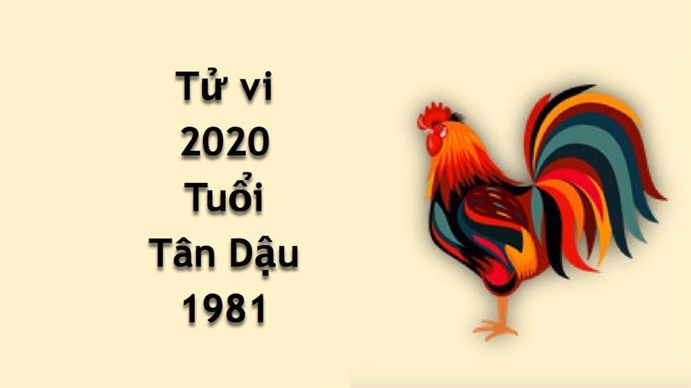 Tử vi tuổi Dậu năm 2020: Sự nghiệp thăng trầm, rủi ro rình rập, cẩn thận tiền mất tật mang-5