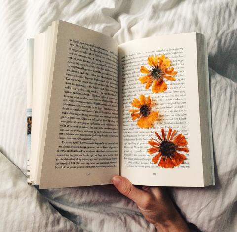 Tử vi thứ Tư ngày 8/1/2020 của 12 con giáp: Dần nên mạo hiểm kinh doanh, Thìn lao lực vì công việc-2