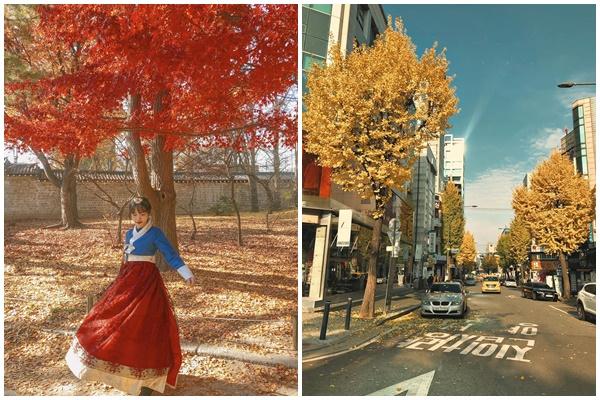 Khoảng xanh bình yên của những miền đất hứa qua mắt nhìn 9X-11