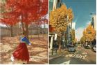 9X gây sốt với bộ ảnh mùa thu Hàn Quốc đẹp như tranh chỉ bằng chiếc điện thoại