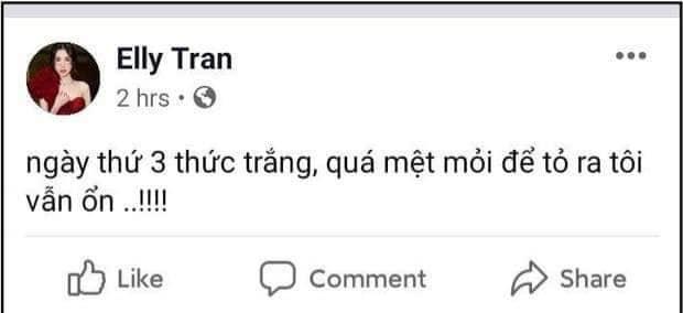 Elly Trần liên tục treo status u ám, ẩn ý chia tay ông xã ngoại quốc?-3