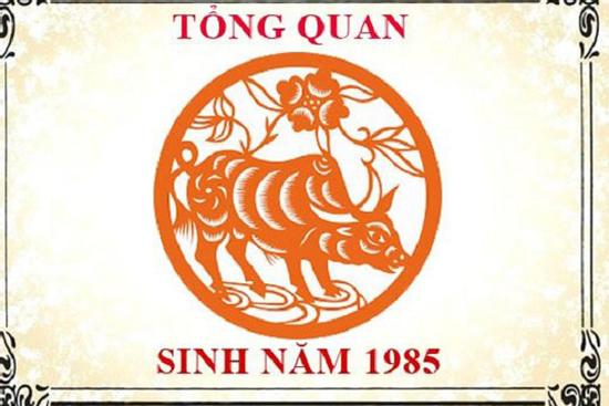 Sinh năm 1985 hợp màu gì khi xây nhà để năm 2020 tiền bạc rủng rỉnh quanh năm?
