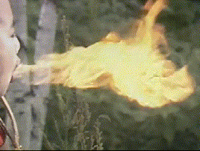 Cách đây 33 năm, Tây Du Ký 1986 đã lừa khán giả bằng chiêu độc này-4