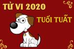 Tử vi tuổi Tuất năm 2020: Sự nghiệp có nhiều biến động lại vất vả đối phó tiểu nhân ám quẻ