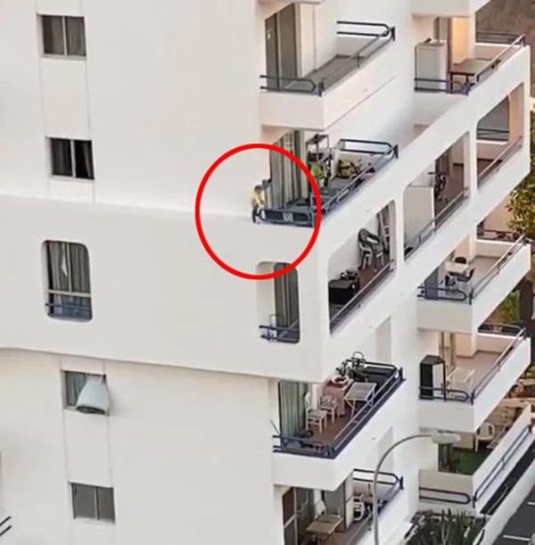 Clip: Mẹ mải tắm trong nhà, con gái trèo ra ngoài cửa sổ tầng 5 đùa nghịch làm ai nhìn cũng run bần bật-3