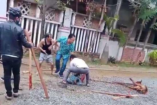 Chó Pitbull tuột xích, hung tợn cắn người đi đường nát tay