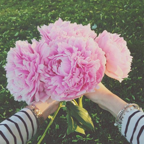 3 cung hoàng đạo nổi tiếng thiện lương, năm 2020 chắc chắn được thần tài hộ mệnh, tiền kiếm vô số-3