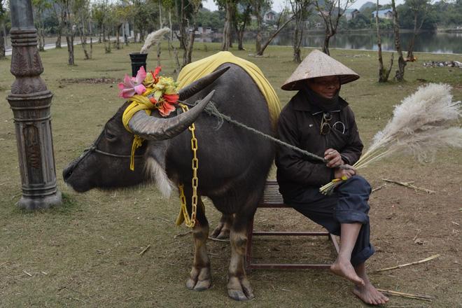 Cuộc gặp gỡ kỳ diệu của nam du khách nước ngoài cùng người đàn ông chăn trâu ở Ninh Bình sau 15 năm và câu chuyện thú vị phía sau-3