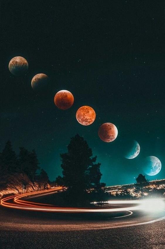 Tử vi thứ Sáu ngày 10/1/2020 của 12 con giáp: Ngọ tiền bạc hao hụt, Thân tiệc tùng liên miên-4