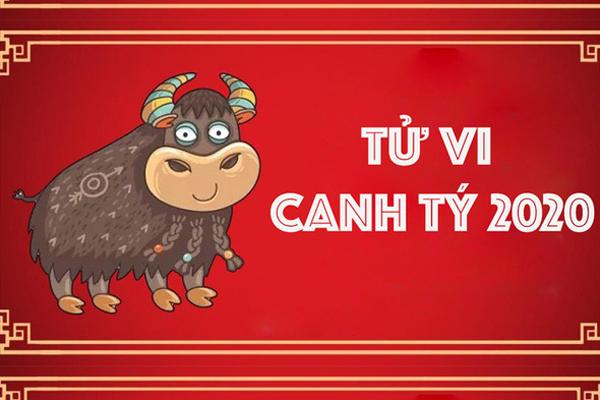 Mùa xuân năm 2020 là bước đệm để 3 tuổi âm lịch này bội thu thành công, gặt hái thành quả sau bao năm tháng nỗ lực-5