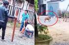 Phút 'sinh tử' của cụ bà U90 ở Quảng Nam bị chó Pitbull cắn nát bàn tay