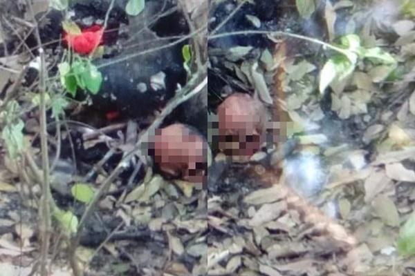 Vụ phát hiện 9 bộ hài cốt ở Tây Ninh: Có người nhìn thấy cảnh giao dịch xương người-3