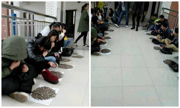 Cắn vụn hướng dương trong lớp, nhóm học sinh bị thầy giáo cao tay phạt ăn bằng hết 50kg hạt tại chỗ: Tởn tới già chưa?-2