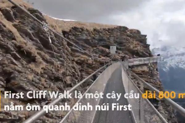 Những loại hoa đẹp nhà nào cũng thích trưng Tết nhưng có con nhỏ không nên mua-3