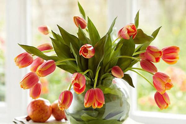 Cách làm thịt đông trong veo, đúng chuẩn truyền thống ngày Tết-2