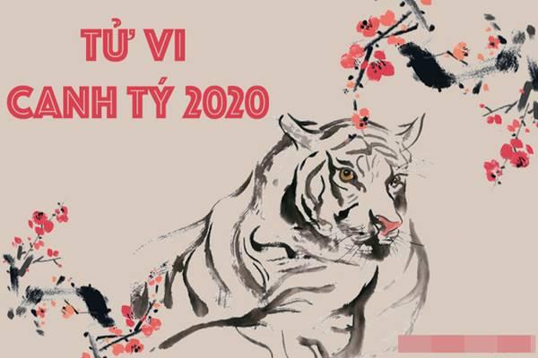 Tử vi Chủ Nhật ngày 12/1/2020 của 12 con giáp: Dậu tài chính chưa như mong muốn, Hợi bận rộn tiệc tùng liên miên-5