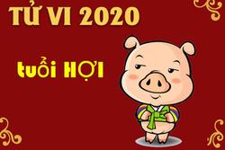 Tử vi tuổi Hợi năm 2020: Sự nghiệp vướng phải nhiều thị phi, hung tinh ám quẻ cần đề phòng