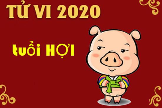 Tử vi tuổi Hợi năm 2020: Sự nghiệp vướng phải nhiều thị phi, hung tinh ám quẻ cần đề phòng