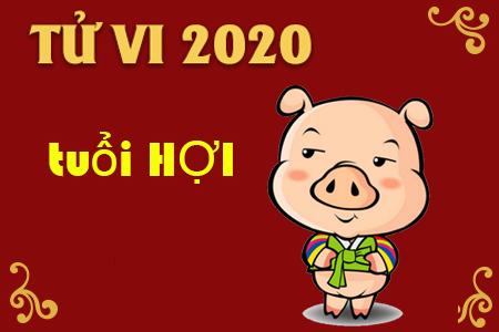 Tử vi tuổi Hợi năm 2020: Sự nghiệp vướng phải nhiều thị phi, hung tinh ám quẻ cần đề phòng-1