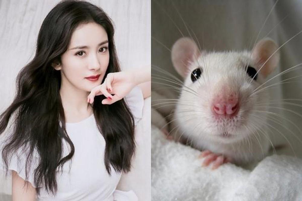 Cuối tuần, 3 con giáp rực rỡ tình duyên, tiền bạc chảy vào túi ầm ầm, không đếm xuể-3