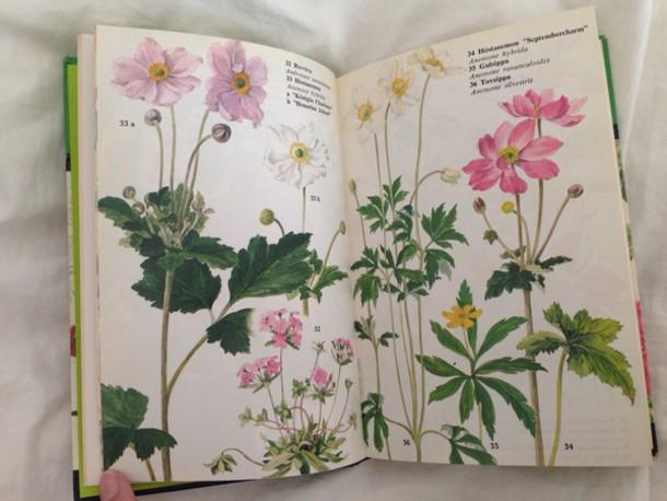 Tử vi tuần mới 12 con giáp từ 13/1/2020 - 19/1/2020: Tuất cảnh giác với bạn bè mới, Sửu tình duyên ngày càng thăng hoa-2