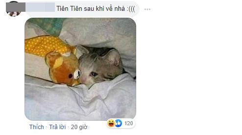 Ai khóc nỗi đau này cho Tiên Tiên: Bị nhầm thành Tóc Tiên, hit tủ My Everything cũng bị chế... My Everywhere-5