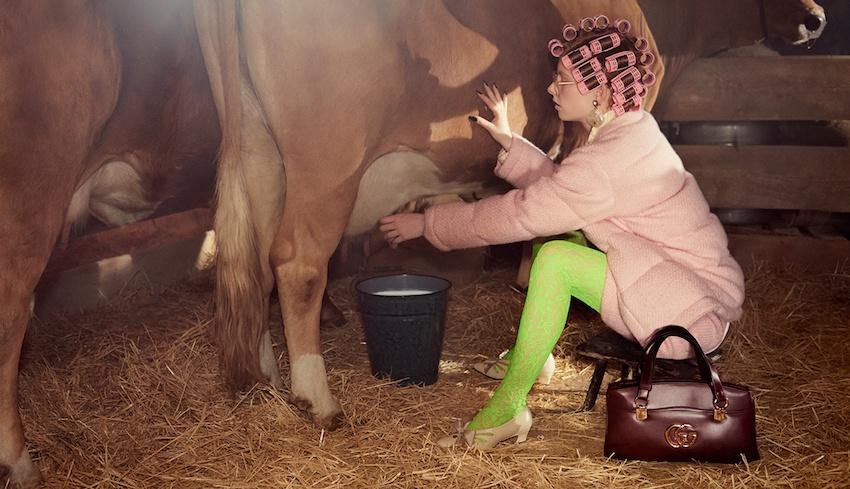 Gucci thay ảnh đại diện, chó mặc quần áo và loạt quảng cáo độc lạ-2