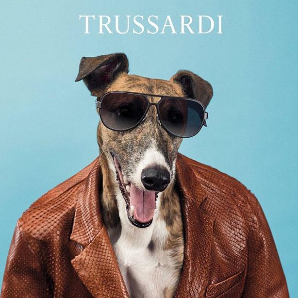 Gucci thay ảnh đại diện, chó mặc quần áo và loạt quảng cáo độc lạ-5