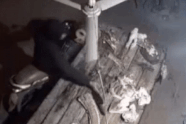 Clip: Cặp vợ chồng suýt mất Tết vì chiếc xe tải lao vào lề đường nhanh... như một cơn gió-2