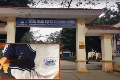 Chủ tịch Hà Nội yêu cầu điều tra đường dây mua bán trinh trẻ em-1