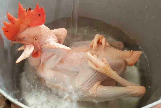 Chọn gà và luộc gà cúng ông Công ông Táo nhất định đừng quên những điều này-2