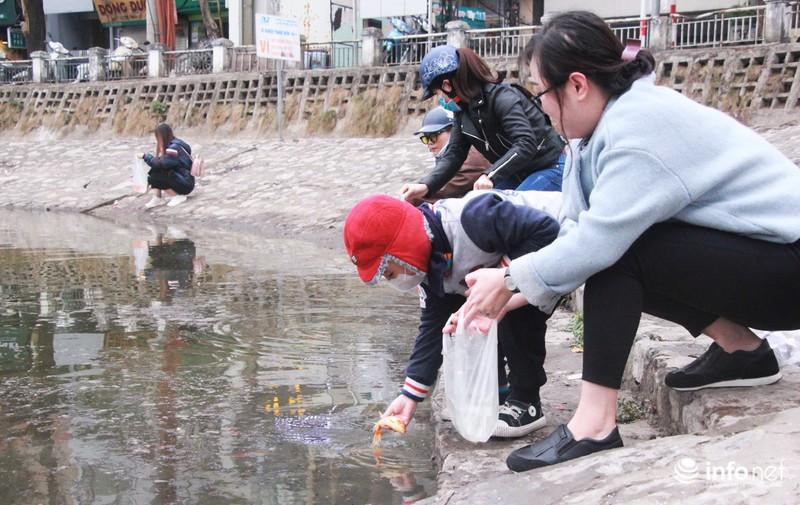 Bi hài cá chép vừa thả xuống hồ, chưa kịp đưa ông Táo chầu Trời đã... gặp nạn-1