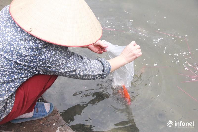 Bi hài cá chép vừa thả xuống hồ, chưa kịp đưa ông Táo chầu Trời đã... gặp nạn-4