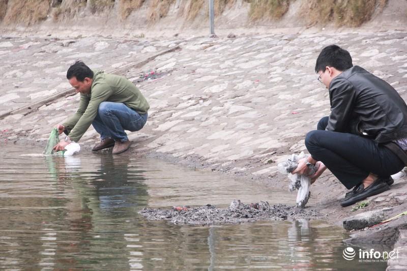 Bi hài cá chép vừa thả xuống hồ, chưa kịp đưa ông Táo chầu Trời đã... gặp nạn-6