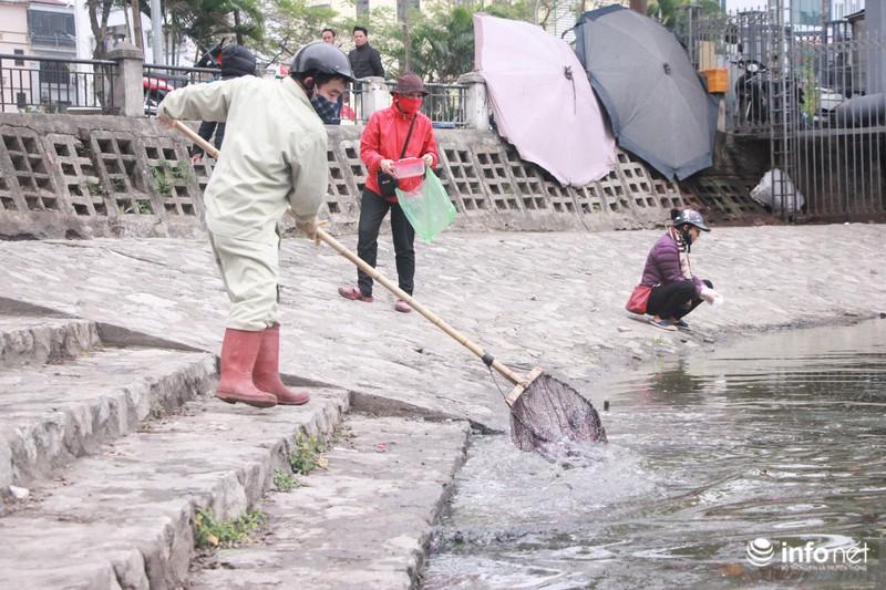 Bi hài cá chép vừa thả xuống hồ, chưa kịp đưa ông Táo chầu Trời đã... gặp nạn-7