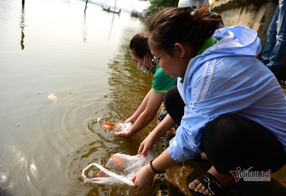 Né quân chích điện, thuê ghe ra giữa sông thả tạ cá ngày ông Công ông Táo-12