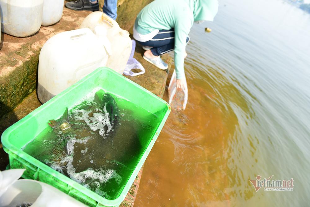 Né quân chích điện, thuê ghe ra giữa sông thả tạ cá ngày ông Công ông Táo-5