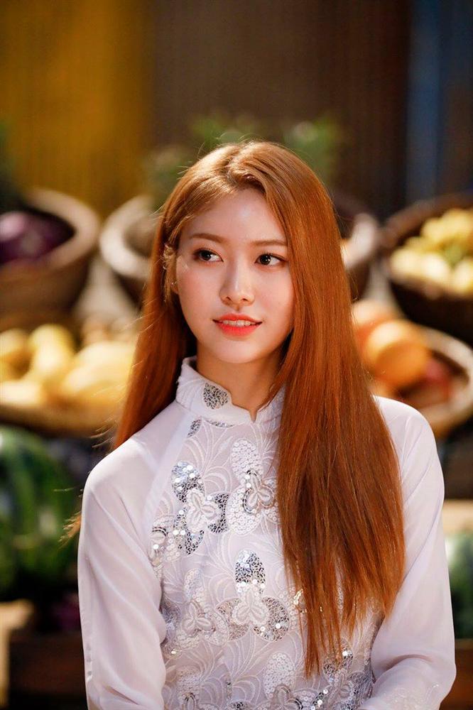 Tử vi thứ Bảy ngày 18/1/2020 của 12 con giáp: Ngọ hạn chế chi tiêu quá đà, Hợi bận rộn chuẩn bị đón xuân-1