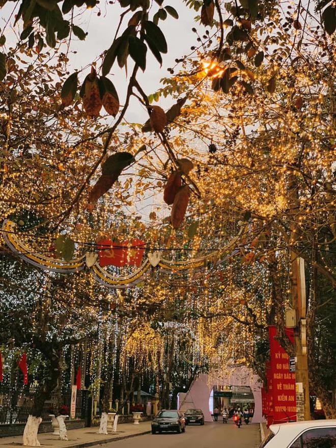 Tết là phải chất chơi như này: Lắp đèn nháy từ đầu ngõ, bật nhạc lên thành vũ trường sôi động ngay-3