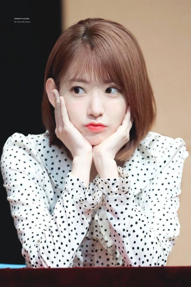 Tử vi thứ Ba ngày 21/1/2020 của 12 con giáp: Dần cẩn thận giao dịch tài chính, Thìn háo hức dọn dẹp nhà-1