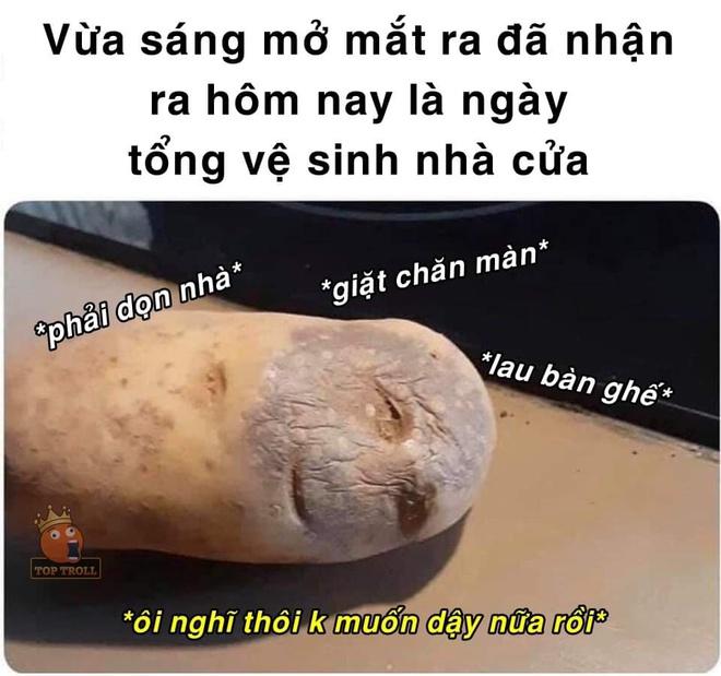 Ảnh chế tuần đầu nghỉ Tết là ngày toàn dân dọn nhà-2