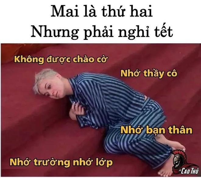 Ảnh chế tuần đầu nghỉ Tết là ngày toàn dân dọn nhà-5